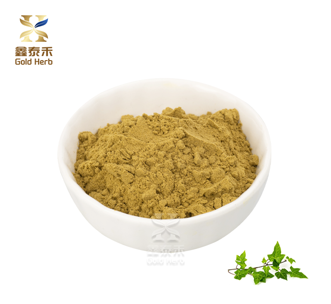 Ivy leaf extract powder